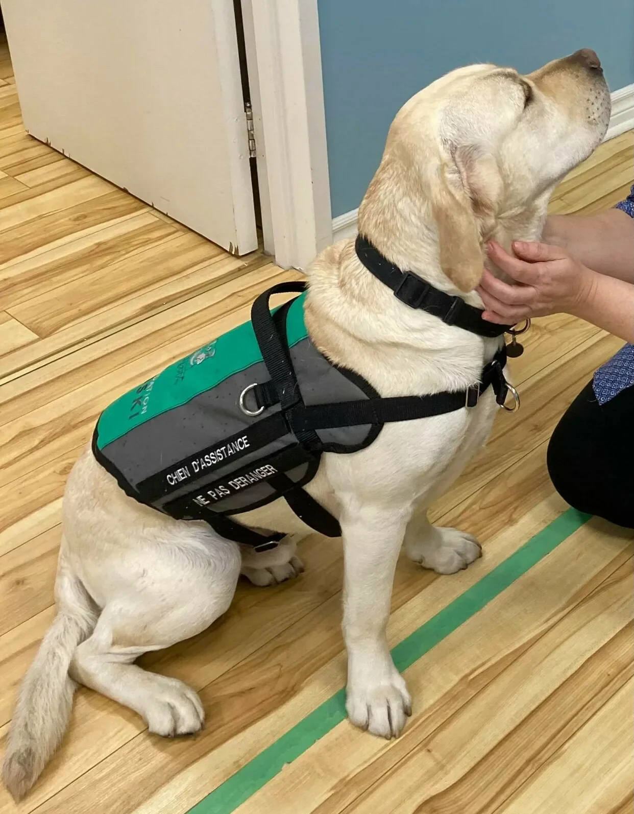 199514408_234846954807697_2074924918297294763_n