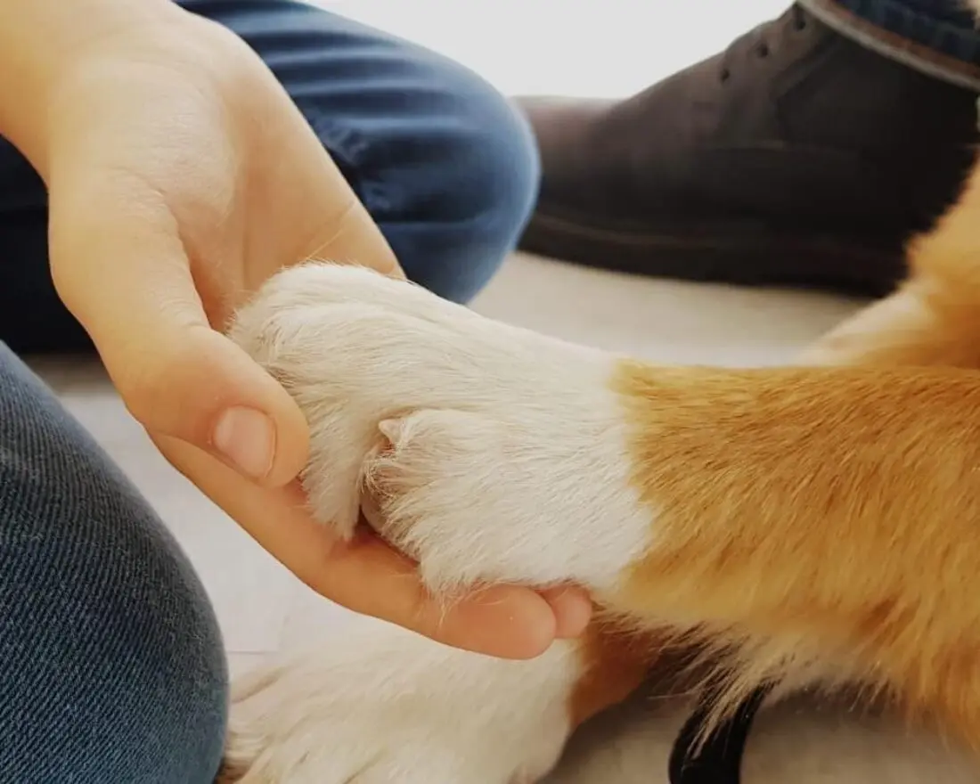 UNADJUSTEDNONRAW_thumb_5ea4