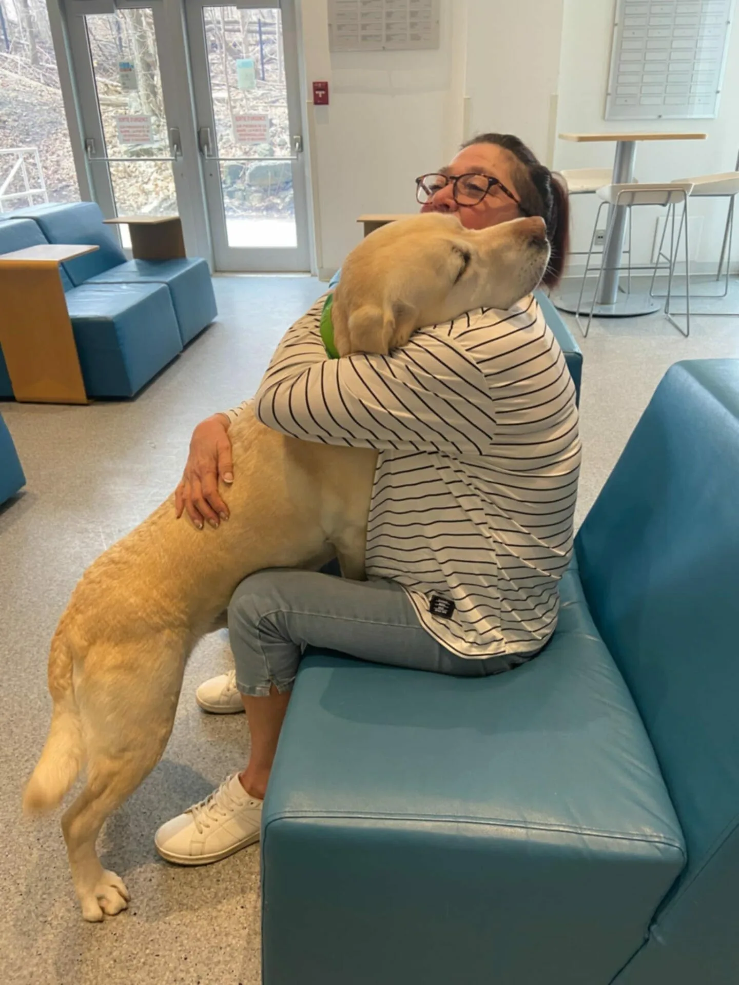 0519a199-9b2d-4331-a595-458598c922dc